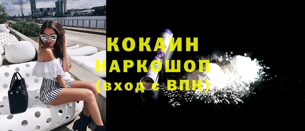 гашик Щигры
