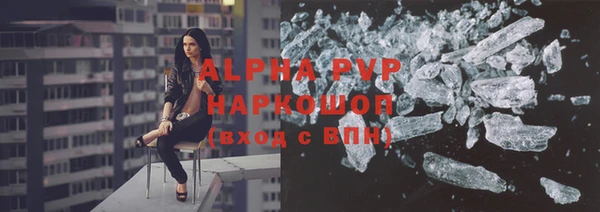 гашик Щигры