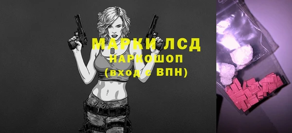 гашик Щигры