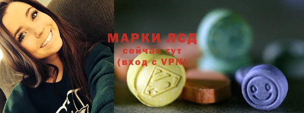 гашик Щигры