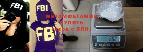 ГАЛЛЮЦИНОГЕННЫЕ ГРИБЫ Щучье
