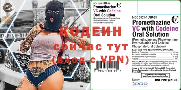 гашик Щигры
