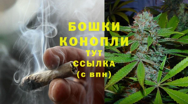 гашик Щигры