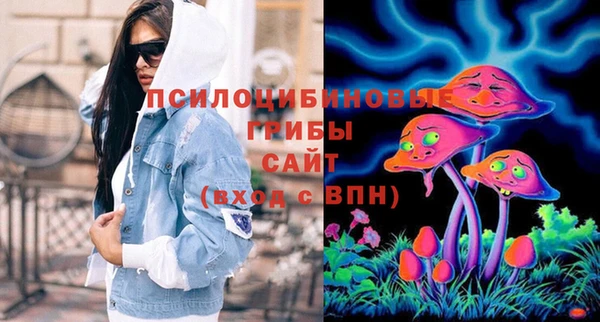 гашик Щигры