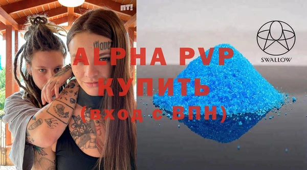 ГАЛЛЮЦИНОГЕННЫЕ ГРИБЫ Щучье