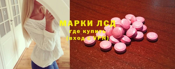 эйфоретик Щёлкино