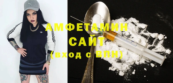 ГАЛЛЮЦИНОГЕННЫЕ ГРИБЫ Щучье