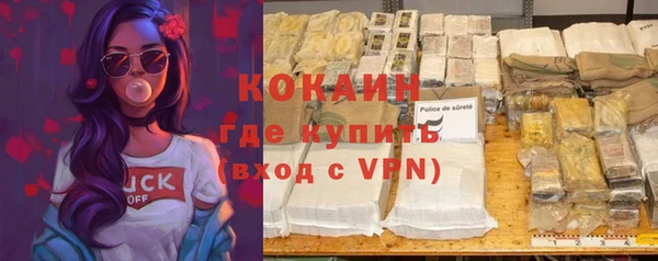 гашик Щигры