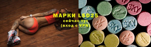 ГАЛЛЮЦИНОГЕННЫЕ ГРИБЫ Щучье