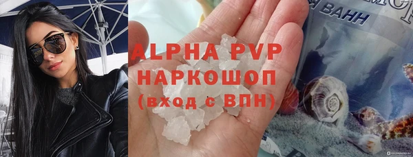 гашик Щигры