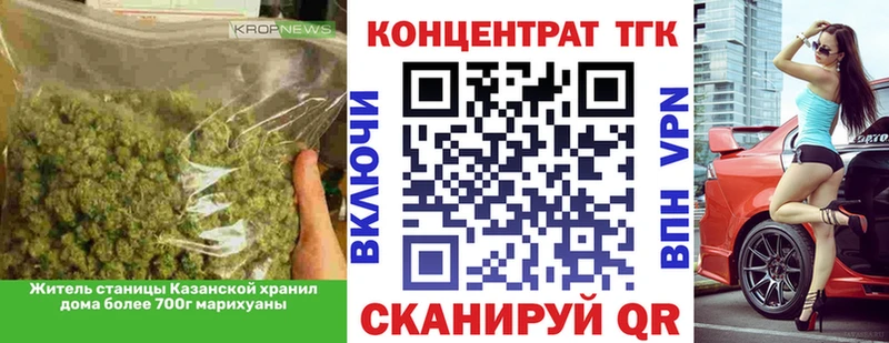 ТГК концентрат  Купить где  Орлов 