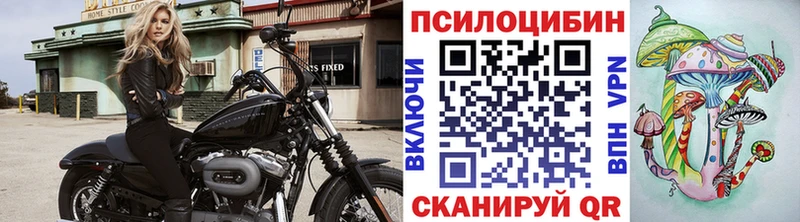 Галлюциногенные грибы MAGIC MUSHROOMS  Купить закладки  Орлов 